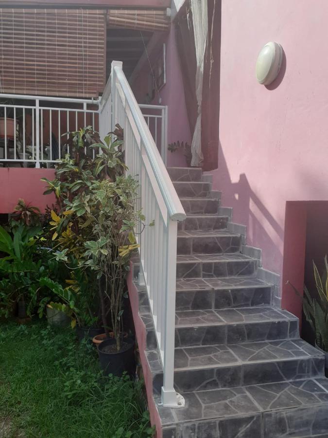 Appartement Sous Le Manguier à Sainte-Anne Extérieur photo