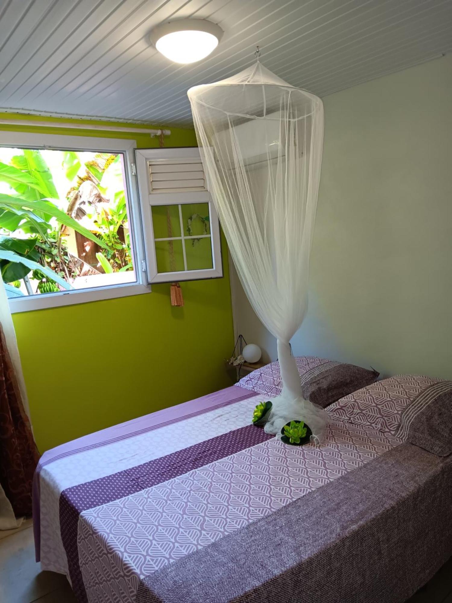 Appartement Sous Le Manguier à Sainte-Anne Extérieur photo